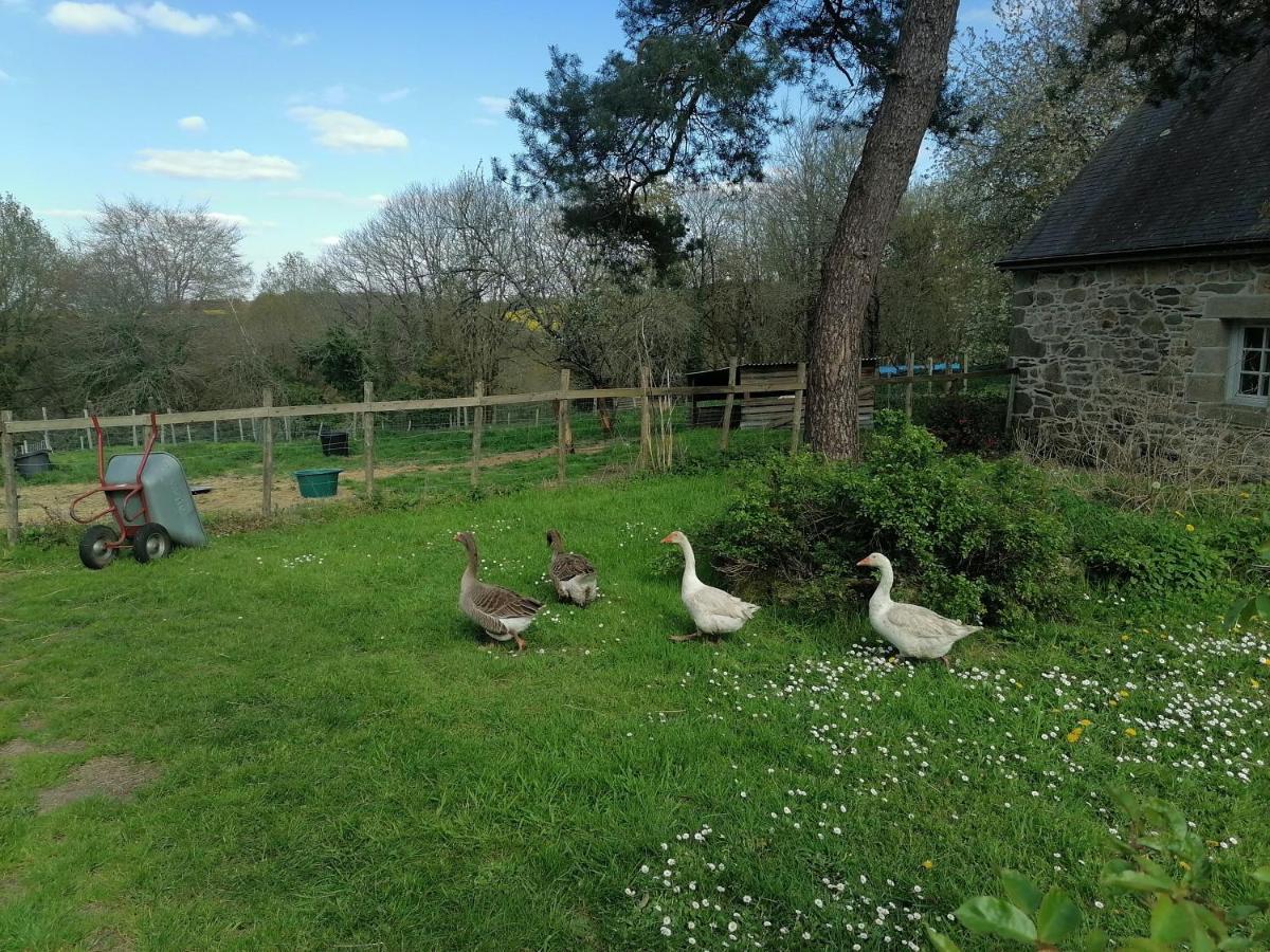Frairie Du Divit Bed and Breakfast Pontivy Buitenkant foto