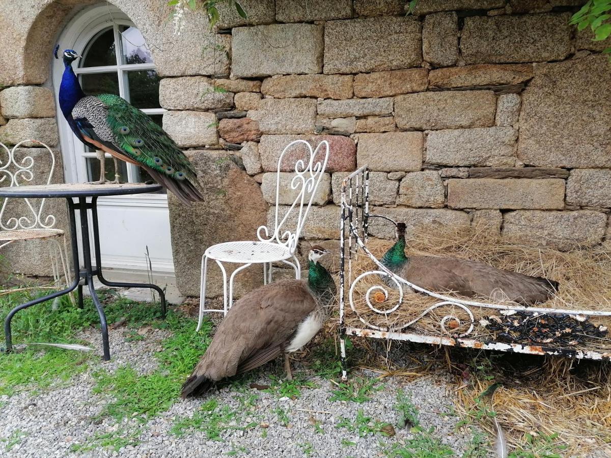 Frairie Du Divit Bed and Breakfast Pontivy Buitenkant foto